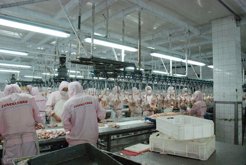 月薪近萬的工廠工作，為何搶不過日曬風(fēng)吹的外賣騎手？——從“基礎(chǔ)電信業(yè)務(wù)”角度透視職業(yè)選擇變遷